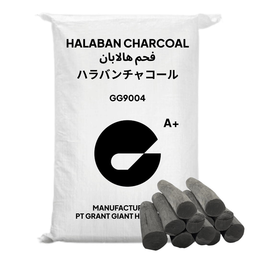 Halaban Charcoal Bag A+